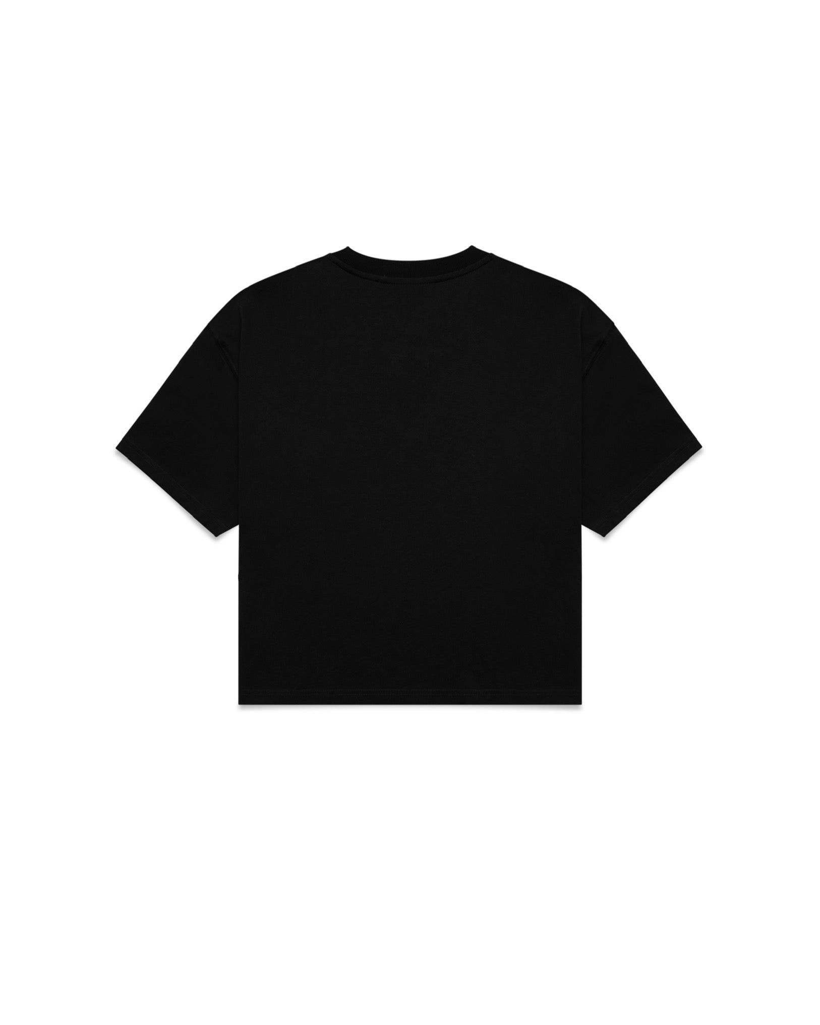 Cropped Crane Tee (Black)